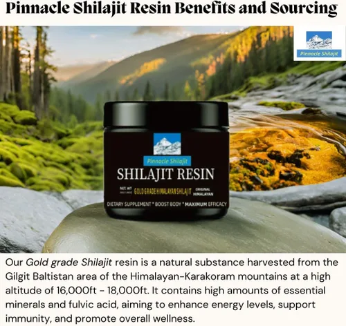 Pinnacle - Resina Shilajit de grado dorado de alta calidad, 100% Shilajit del Himalaya de Gilgit Baltistan, potente energía natural, enfoque y apoyo