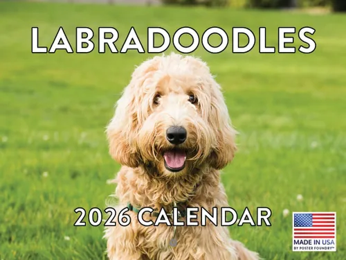 Miniatura 110 de Calendario de pared mensual 2025 Great Dane de 12 meses, fabricado en Estados Unidos
