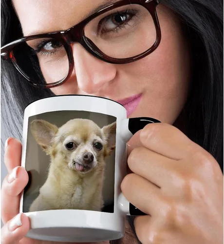 Miniatura 2 de 3dRose Taza de café, tamaño – 15 oz – Perro Chihuahua sin dientes, Santa Fe, Nuevo México – US32 JMR0502 – Julien McRoberts Dogs – divertido regalo