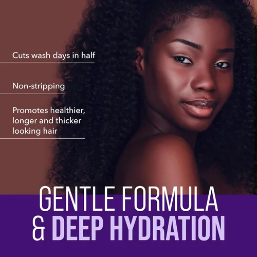 Miniatura 4 de The Mane Choice El champú de hidratación desenredante Alpha Easy On The Curls