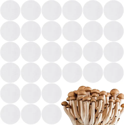 Frienda 30 calcomanías de papel de filtro sintético de 0.3 μm, disco de filtro sintético de boca ancha, parche adhesivo circular para cultivo de
