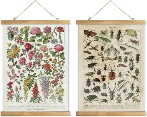 Miniatura 14 de XIAOAIKA Póster Educativo de Vida Silvestre de Seto Británico - Cuadro Ilustrado de la Naturaleza con Marco de Madera - Arte de Pared de Animales