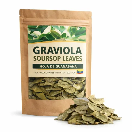 Hojas de guanábana de graviola secas enteras (4 oz 3.99 oz+ hojas por bolsa) Hoja de Guanabana, 100% té fresco delicioso natural | De Ecuador |