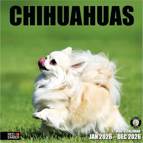 Miniatura 46 de RED EMBER Calendario de pared 2025 con diseño de cachorros de 12 meses, 12 x 24 pulgadas, abierto, papel grueso y resistente, para regalo