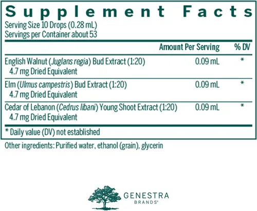Miniatura 2 de Genestra Brands Skn-gen Suplemento de hierbas de nuez inglesa, olmo y cedro del Líbano 0.5 onzas líquidas