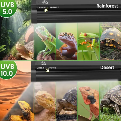 Miniatura 2 de QZQ T5 UVB - Kit combinado de luces para reptiles de 8 W, luz UVB para reptiles con salida UVB conmutable 5.0 y 10.0, lámpara de campana de terrario