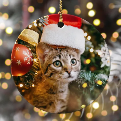 Miniatura 14 de Adornos de Navidad personalizados con foto 2025, nombre personalizado para perro y gato, adornos para árbol de Navidad, cachorros, perros, gatos