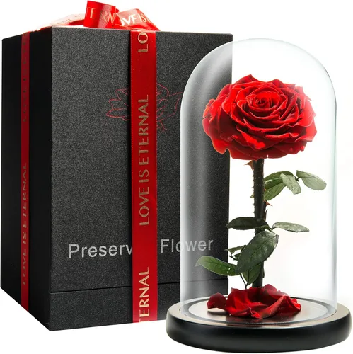 Miniatura 12 de Rosa Preservada para Siempre – Rosa Eterna en Cúpula de Cristal – Rosa de la Bella y la Bestia para Mamá – Flores Frescas para Entrega Prime