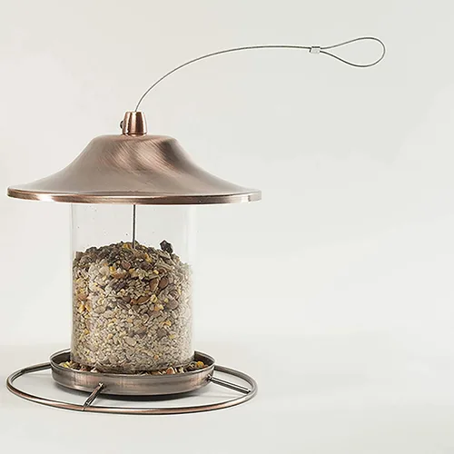 Miniatura 5 de Wagner's 22056 Gourmet - Alimento para aves silvestres, sin residuos, bolsa de 5 libras, paquete de 2