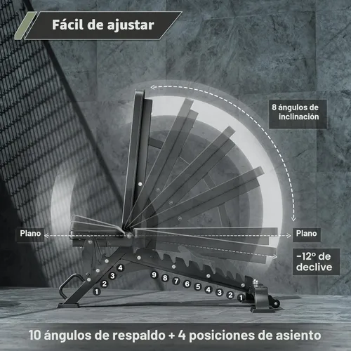 Miniatura 4 de MAJOR FITNESS Banco de pesas, banco de entrenamiento ajustable para entrenamiento de fuerza, prensa de banco y entrenamientos de cuerpo completo