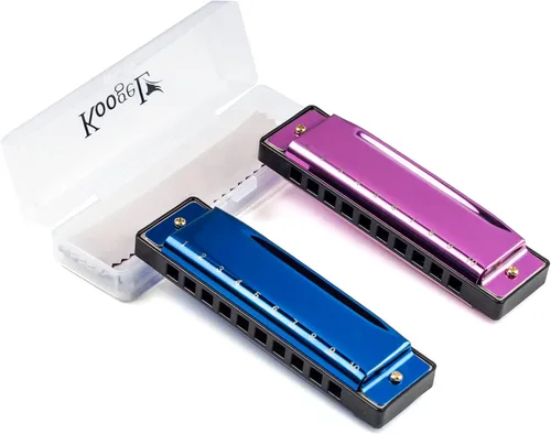 Koogel Juego de armónica para niños, armónica diatónica rosa y azul de 10 agujeros en clave de Do, instrumentos musicales para principiantes