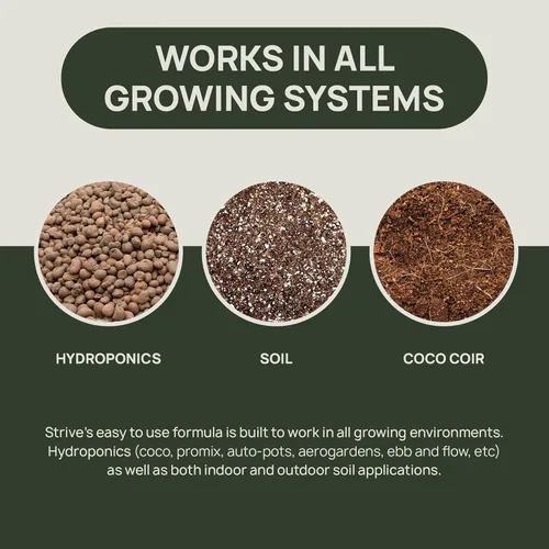 Miniatura 4 de Kit Combo Inicial de Fertilizante Strive - Nutrientes Hidropónicos Generales para Vegetales + Floración - Alimento para Plantas de Cultivo
