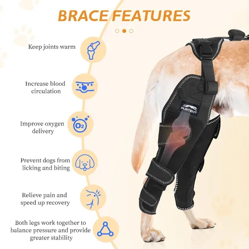 Miniatura 5 de Perro Acl Brace pata trasera – Mantiene las articulaciones calientes y protegidas, piernas y caderas ajustables mejoradas, juego de arnés