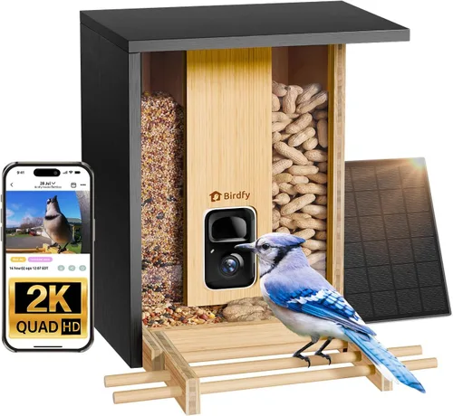 NETVUE by Birdfy - Comedero inteligente para pájaros con cámara, alimentado por energía solar, vapor vivo de 2K y IA Identificación de especies de