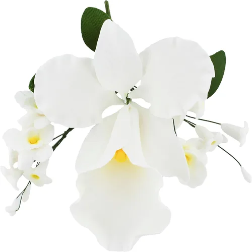 Miniatura 9 de Global Sugar Art Cattleya Orchid Sugar Cake - Aerosol para tartas de azúcar, blanco, 1 unidad por el chef Alan Tetreault