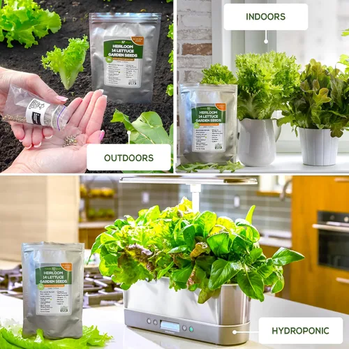 Miniatura 3 de Semillas de jardín de lechuga y ensalada para plantar, más de 6400 semillas de verduras cultivadas en Estados Unidos sin OMG para cultivo doméstico