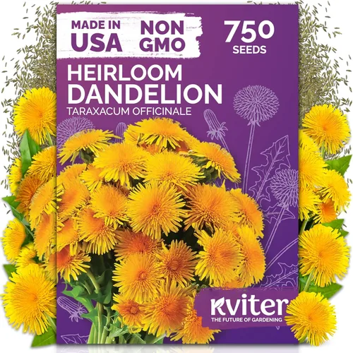 Miniatura 29 de KVITER 25 semillas de algodón blanco para plantar (Gossypium hirsutum) – Planta de algodón real, semillas de algodón para cultivo, semillas