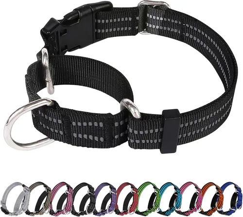 Miniatura 9 de Martingale - Collar para perro, collar reflectante ajustable de nailon con hebilla de liberación rápida (rosa intenso, talla L)
