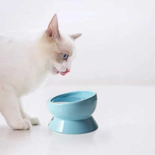 Miniatura 6 de Y YHY Tazón de cerámica para comida y agua de gatos inclinado de 15 onzas, azul lago