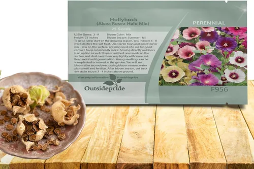 Outsidepride Halo Hollyhock Seeds - 25 piezas de semillas de flores tolerantes a la sequía de larga duración con flores semiprecibles para jardines