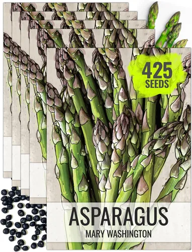Miniatura 12 de Seed Needs Semillas de espárragos para plantar espárragos Mary Washington, semillas de vegetales perennes sin OMG y sin tratar para plantar un