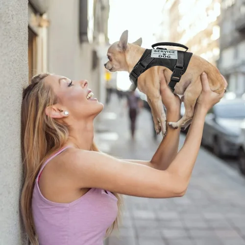 Miniatura 3 de Arnés táctico para perro, chaleco de entrenamiento al aire libre, chaleco militar K9 de patrulla para perro, arnés táctico ajustable para cachorros