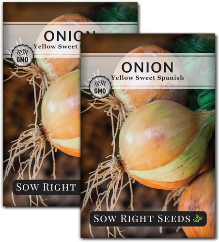 Miniatura 8 de Sow Right Seeds - Semillas de cebolla dulce española amarilla para plantar - Paquete de reliquia sin OMG con instrucciones para plantar un huerto