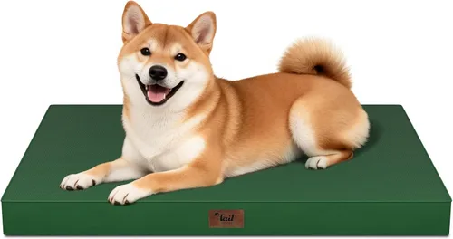 Miniatura 41 de Cama ortopédica de felpa para perros y cachorros medianos, camas impermeables para perros de 30 x 20 pulgadas con funda extraíble lavable, tapete