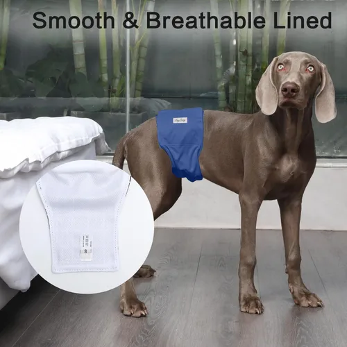 Miniatura 7 de JoyDaog Bandas reutilizables para el vientre para perros machos Pañales, paquete de 5 pañales lavables de primera calidad para perros machos
