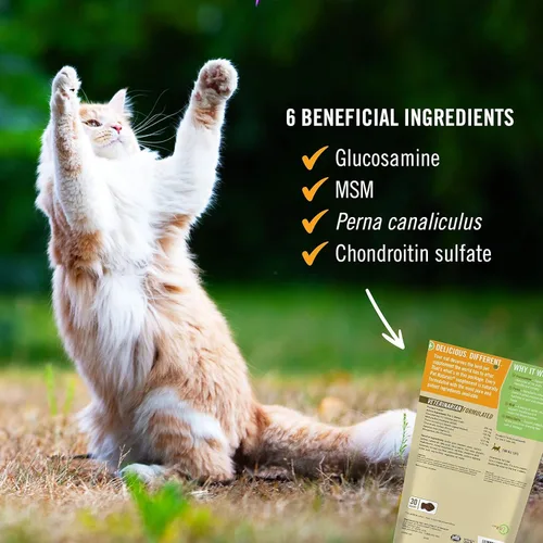 Miniatura 4 de Pet Naturals Suplemento de cadera y articulaciones con glucosamina, mejillón de labios verdes y condroitina para gatos, sabor a pato, 160 masticables