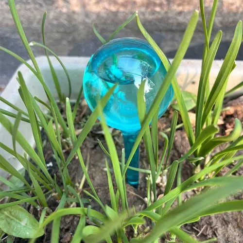 Miniatura 8 de 6 estacas de globo de riego automático para plantas, estacas de riego automático de plantas, sistema de bulbos de riego automático, dispositivo