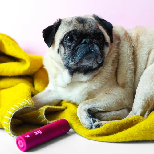 Miniatura 9 de Flint Mini rodillo retráctil rosa clásico con 90 hojas extra adhesivas, rodillo de pelusa pequeño y portátil, removedor de pelo de mascotas ideal