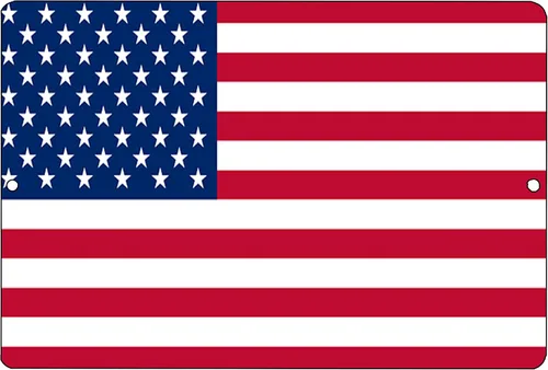 Rogue River Tactical Bandera estadounidense de metal de la bandera de Estados Unidos decoración de pared hombre cueva bar EE.UU. Estados Unidos Old
