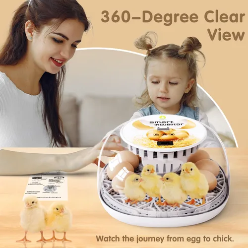 Miniatura 5 de Incubadoras para incubar huevos de codorniz, 12 huevos con giro automático de huevos y control de humedad, visualización de 360° para pollo, patos