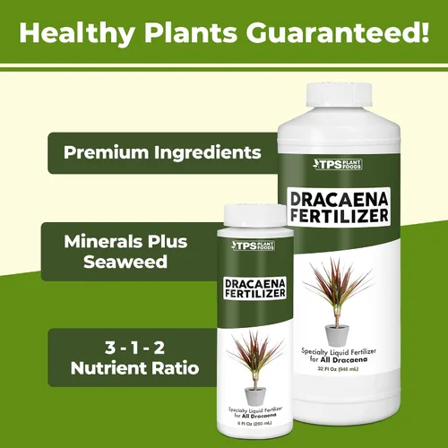 Miniatura 6 de Dracaena Fertilizante - Alimento líquido vegetal para hojas verdes ricas y crecimiento fuerte de la caña, 8 onzas