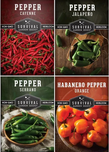 Paquete variado de semillas de pimiento picante para plantar | 4 variedades: jalapeño, serrano, cayena y habanero – chiles tradicionales picantes
