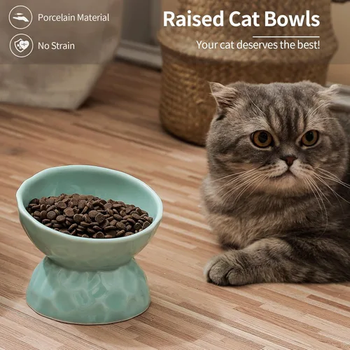 Miniatura 2 de Tazones elevados de cerámica para gatos, juego de cuencos elevados inclinados para comida y agua, plato de porcelana libre de estrés para gatos