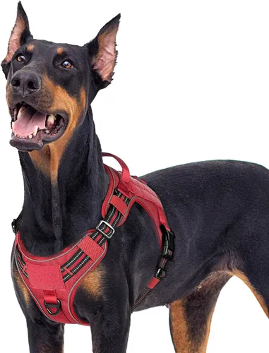 Miniatura 48 de rabbitgoo - Arnés para perros pequeño sin tirones, chaleco táctico de servicio con Molle y asa de control, arnés militar ajustable y reflectante