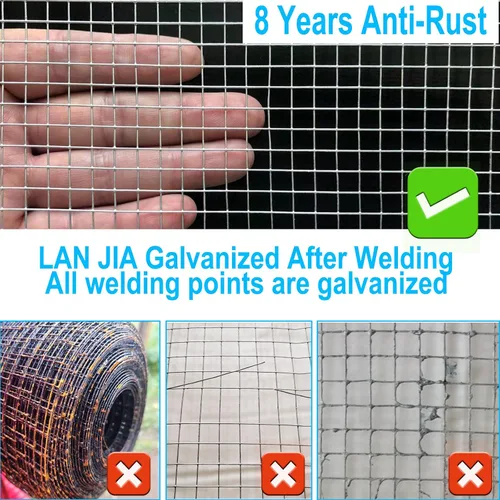 Miniatura 3 de Paño de hardware galvanizado de 1/2 pulgada de calibre 48 pulgadas x 100 pies, galvanizado en caliente después de la soldadura, alambre de pollo