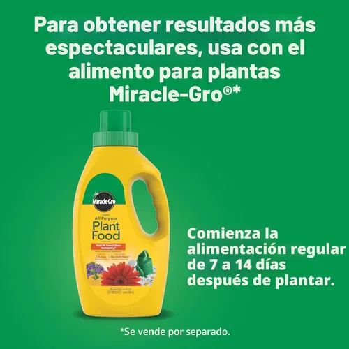 Miniatura 9 de Miracle-Gro Solución de inicio rápido para plantar y trasplante, para plantas de flores y vegetales, mezcla concentrada con agua, 48 onzas.