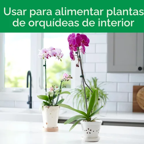 Miniatura 3 de Miracle-Gro Picos de alimento para plantas de orquídeas