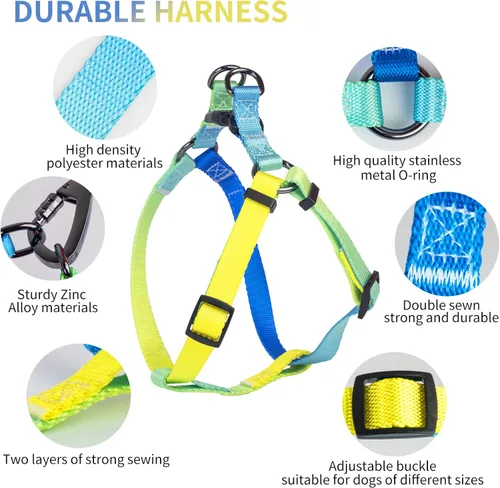 Miniatura 2 de AIITLE Arnés para perro, correa y collar sin tirones, collar básico ajustable con una correa resistente, hebilla súper resistente y anillo en D, Azul