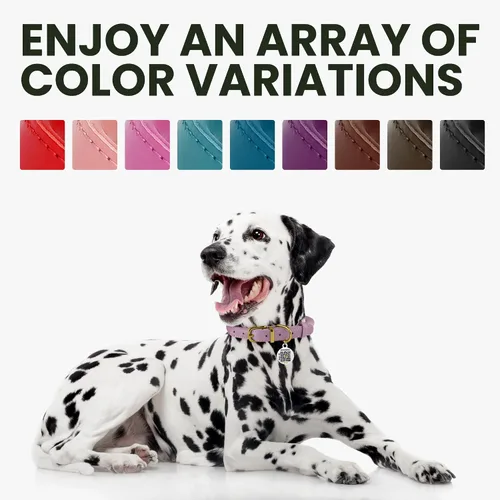 Miniatura 6 de BRONZEDOG Collar de perro de cuero enrollado para perros pequeños, medianos y grandes con etiqueta de identificación QR (ciruela, XS: 9-11 pulgadas)