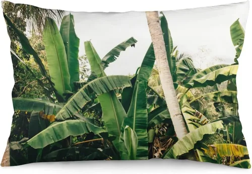 Miniatura 44 de Protector de almohada de playa con palmeras tropicales de 16 x 14 pulgadas, palmeras de playa, paisaje marino costero, decorativo, rectangular