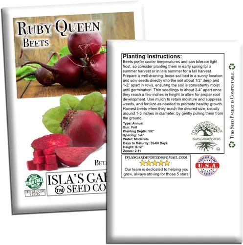 Miniatura 7 de Semillas de remolacha roja "Ruby Queen" para plantar, más de 100 semillas tradicionales por paquete, semillas de jardín de Isla