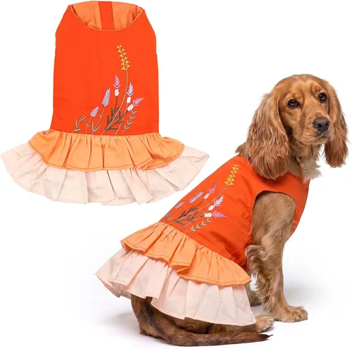 Miniatura 68 de Parisian Pet Chambray - Vestido para perro - Ligero sin mangas para perro, niña, talla XS Chambray en general