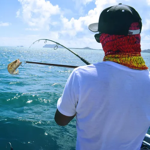 Miniatura 6 de KOMCLUB Telescopic Fishing Gaff with Super Sharp Spear Hook Lightweight Hand Fish Gaff with Soft