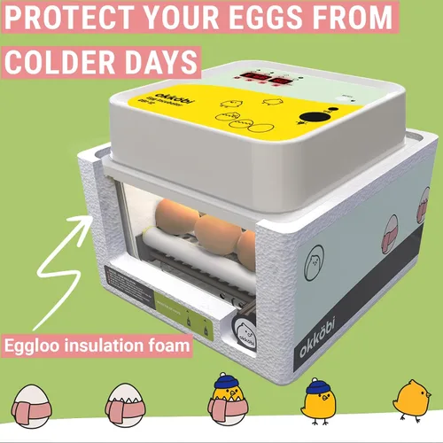 Miniatura 6 de OBI-12 Incubadoras de huevos para incubar huevos - Incubadora para 12 huevos con girador automático de huevos - criador para huevos de gallina