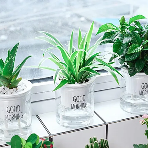 Miniatura 3 de AkoMatial Macetas de riego automático, macetas transparentes para suculentas, maceta redonda con cuerdas de algodón para el hogar, oficina, jardín