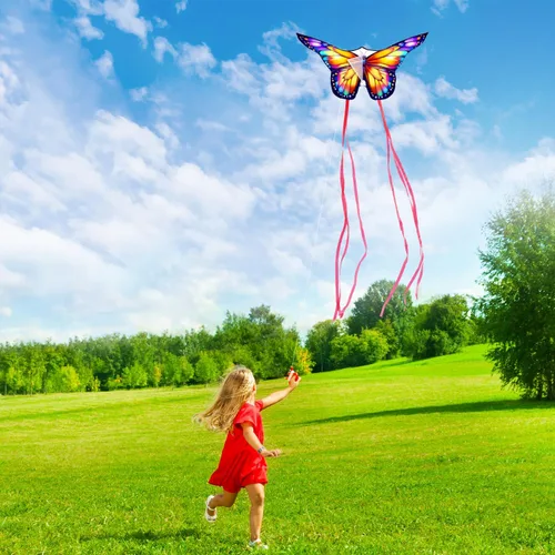 Miniatura 4 de Xida Butterfly Kite for Kids & Adults Easy to Fly, Ages 4-8 8-12, Large Kite with 300ft Handle, Perfect for Beach Trips